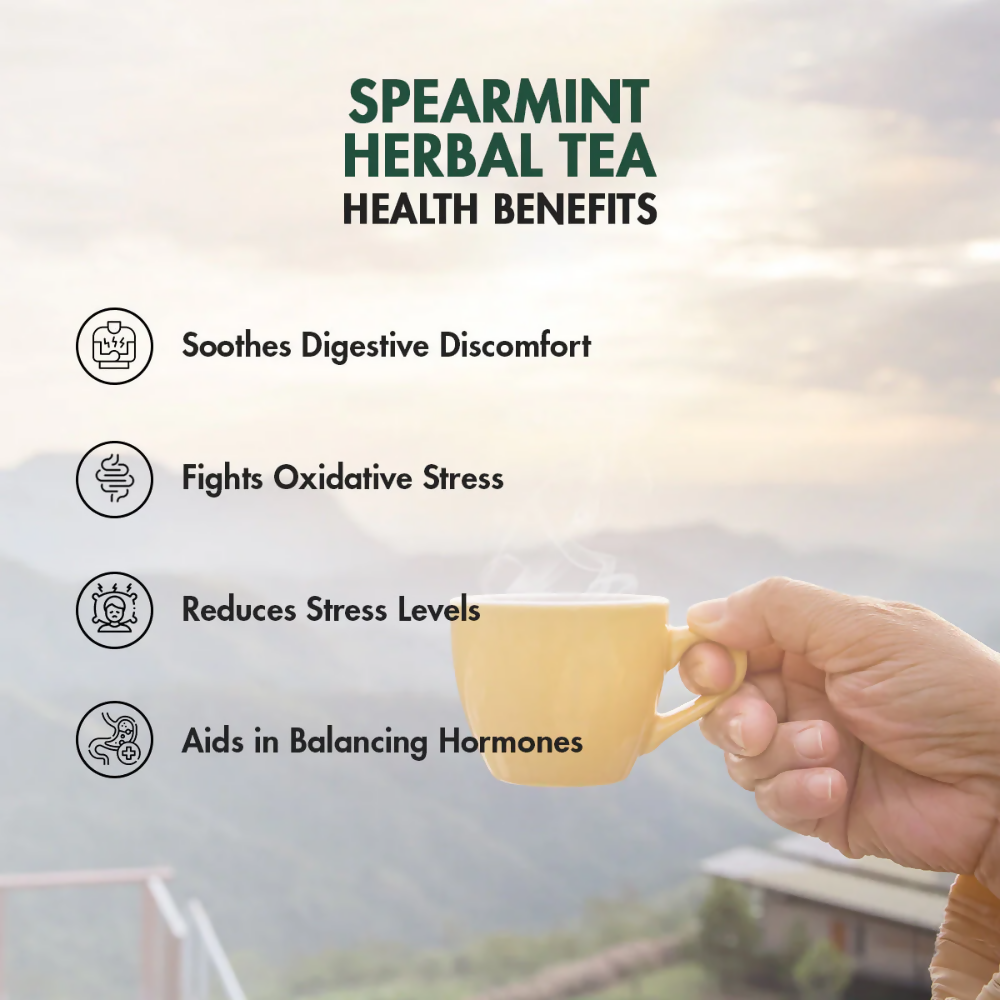 Tea Treasure Pure Spearmint Tea