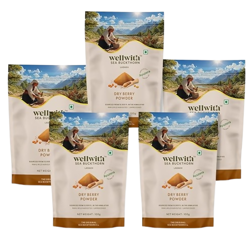 Wellwith Himalayan Sea Buckthorn Dry Berry Powder