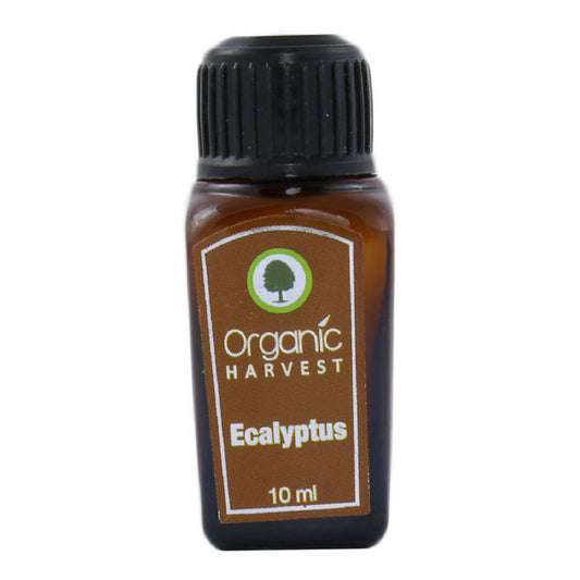 Organic Harvest Eucalyptus Essential Oil