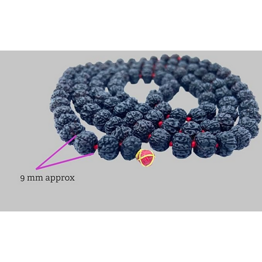 Original Rudraksha Panchmukhi Mala