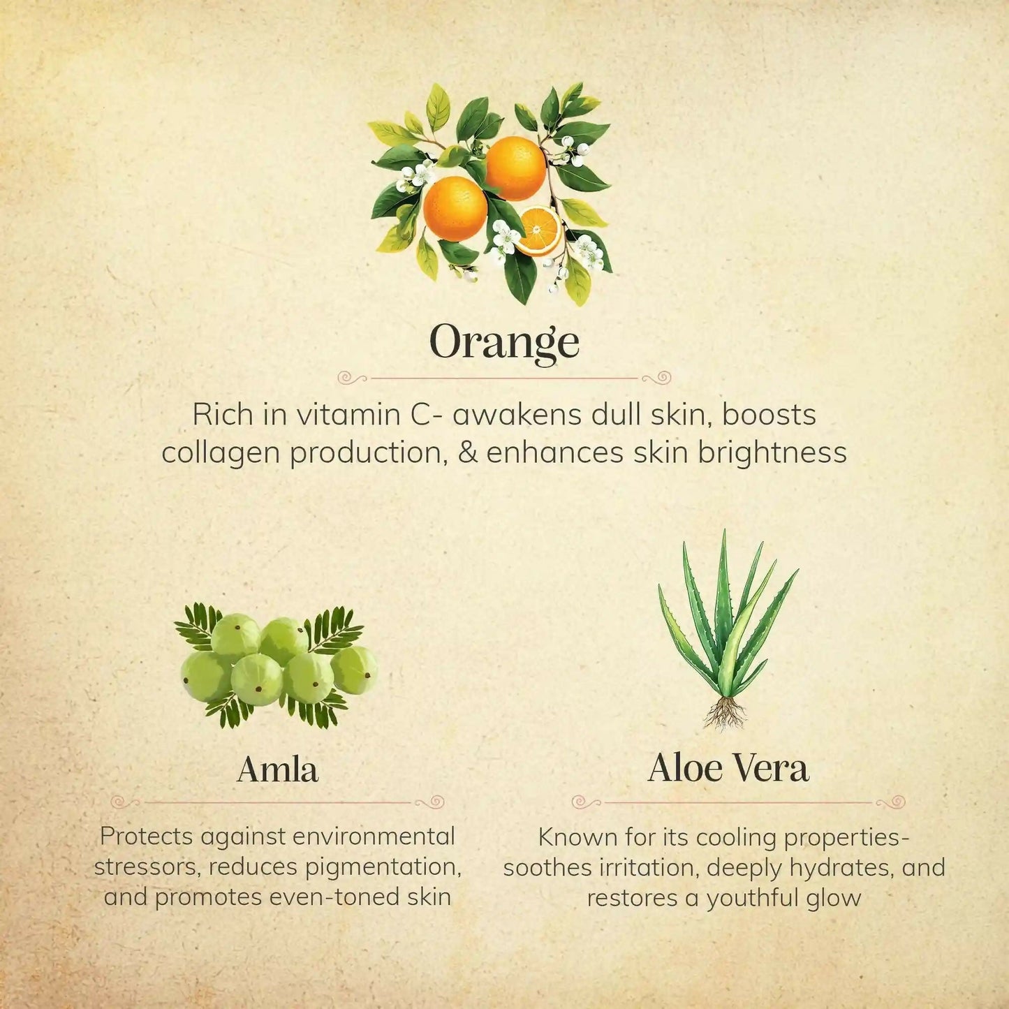 Chengavi Vit - C Foaming Face Wash