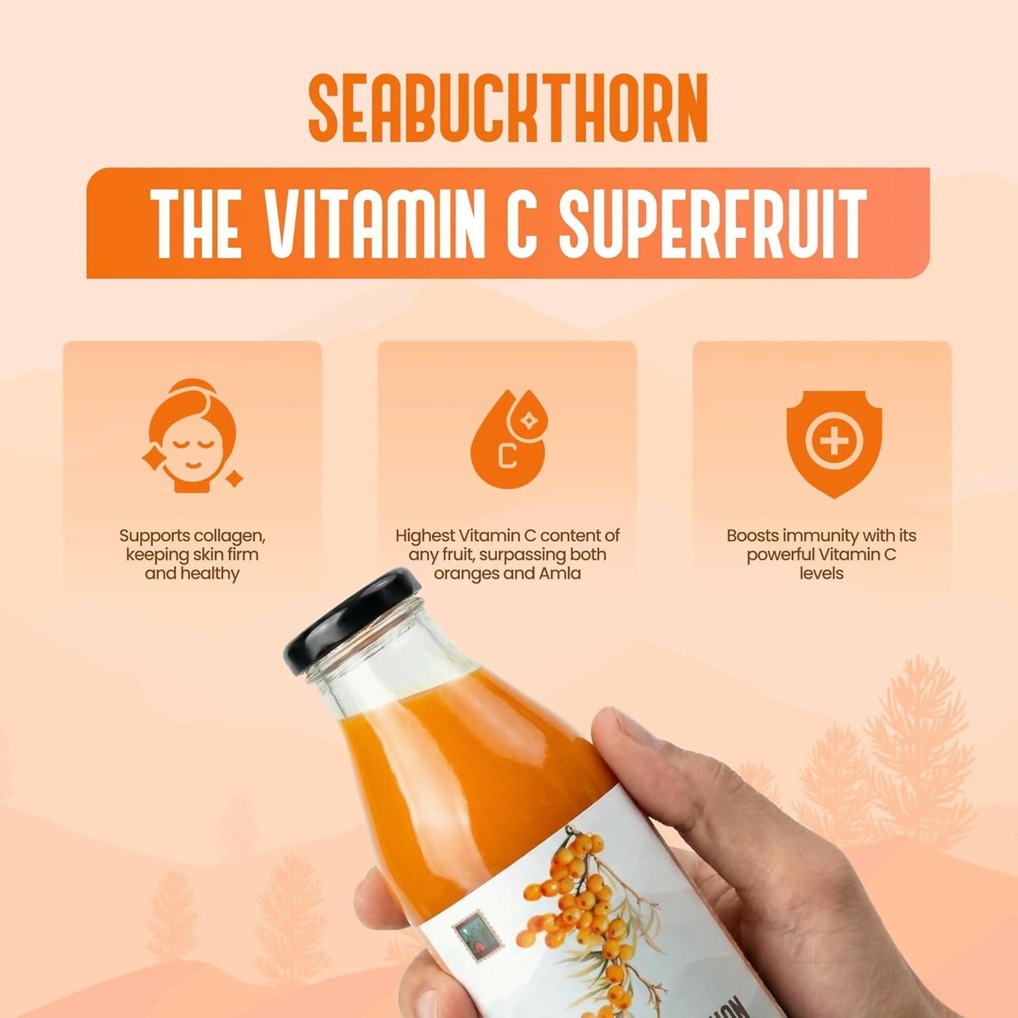 My Pahadi Dukan Himalayan Sea Buckthorn Pulp