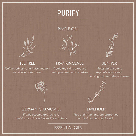 Secret Alchemist Purify Pimple Gel