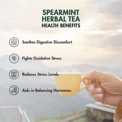 Tea Treasure Pure Spearmint Tea