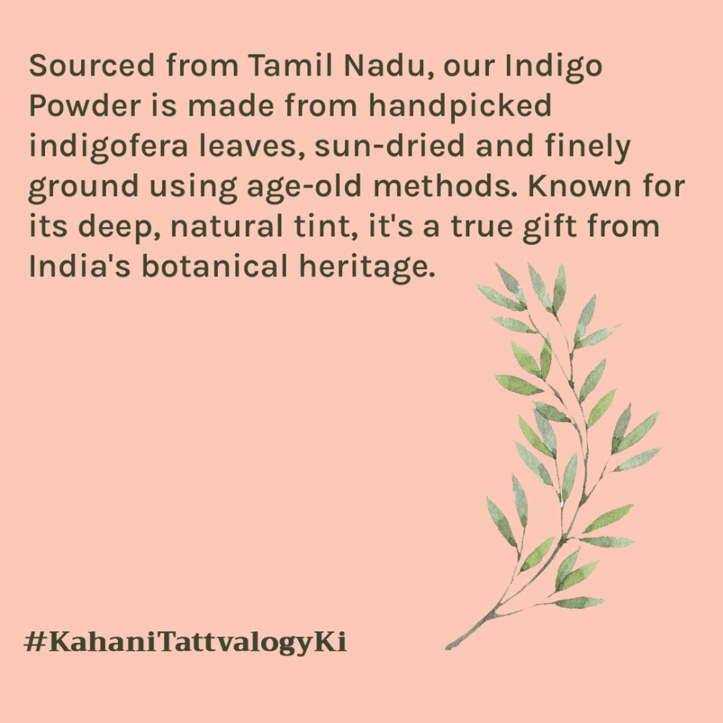 Tattvalogy Indigo Powder - Natural Hair Color with Henna for Soft, Indian Hair Shade & Conditioning