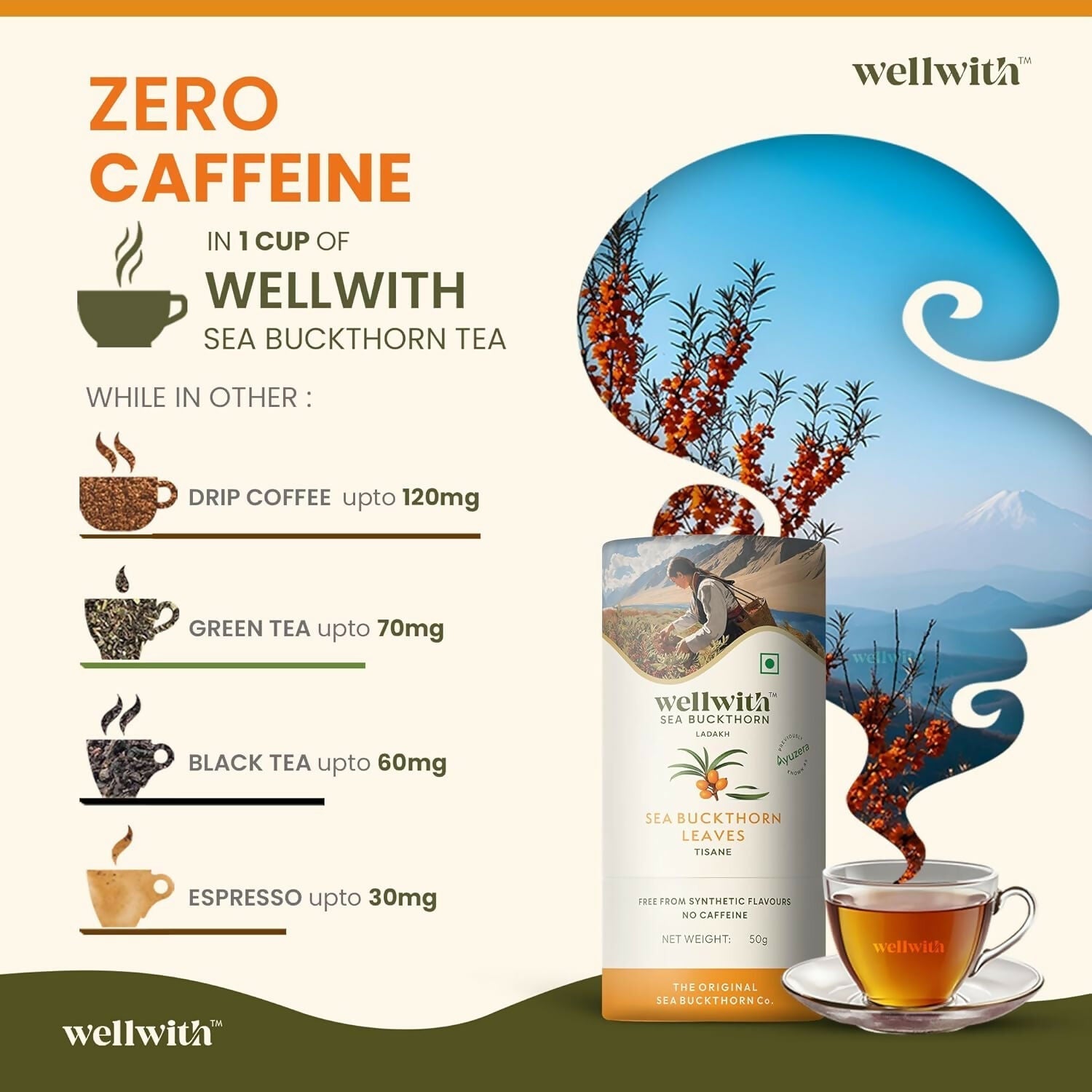 Wellwith Sea Buckthorn Raw Leaves Tea - Himalayan Herbal Leaf Tea