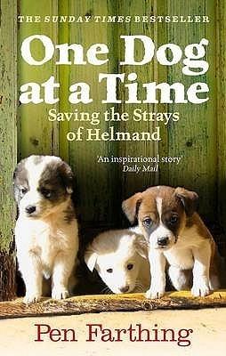 One Dog at a Time: An inspiring true story of saving the strays of Afghanistan