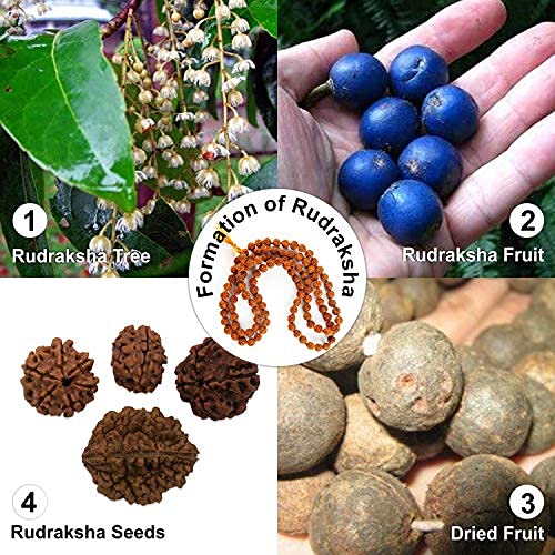 Wonder Care Authentic Mala Genuine Religious Ornament Rosary Japa Mala (4mm-16mm) Natural/Capped Neclaces & Bracelet