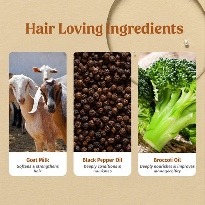 Frizz Free Hair Combo