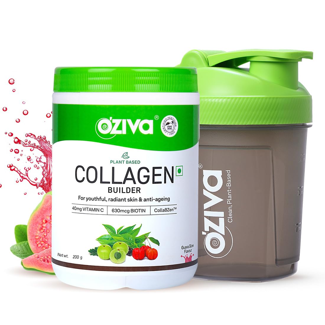 OZiva Phyto Ceramides+ Collagen Builder Supplements | Veg Collagen Powder for Women | Supplement for Skin Hydration, Moisture Retention & Barrier Repair | Blueberry, 30 Sachets