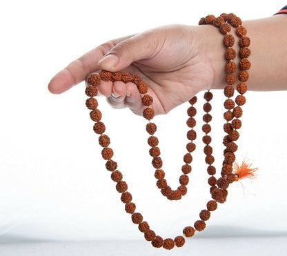 ASTRODIDI 5 Mukhi Rudraksha Mala Panchmukhi Mala for Men and Women