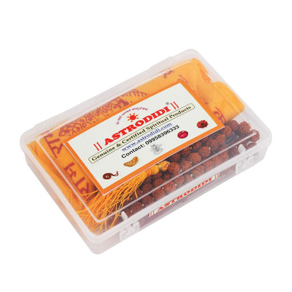 ASTRODIDI 5 Mukhi Rudraksha Mala Panchmukhi Mala for Men and Women