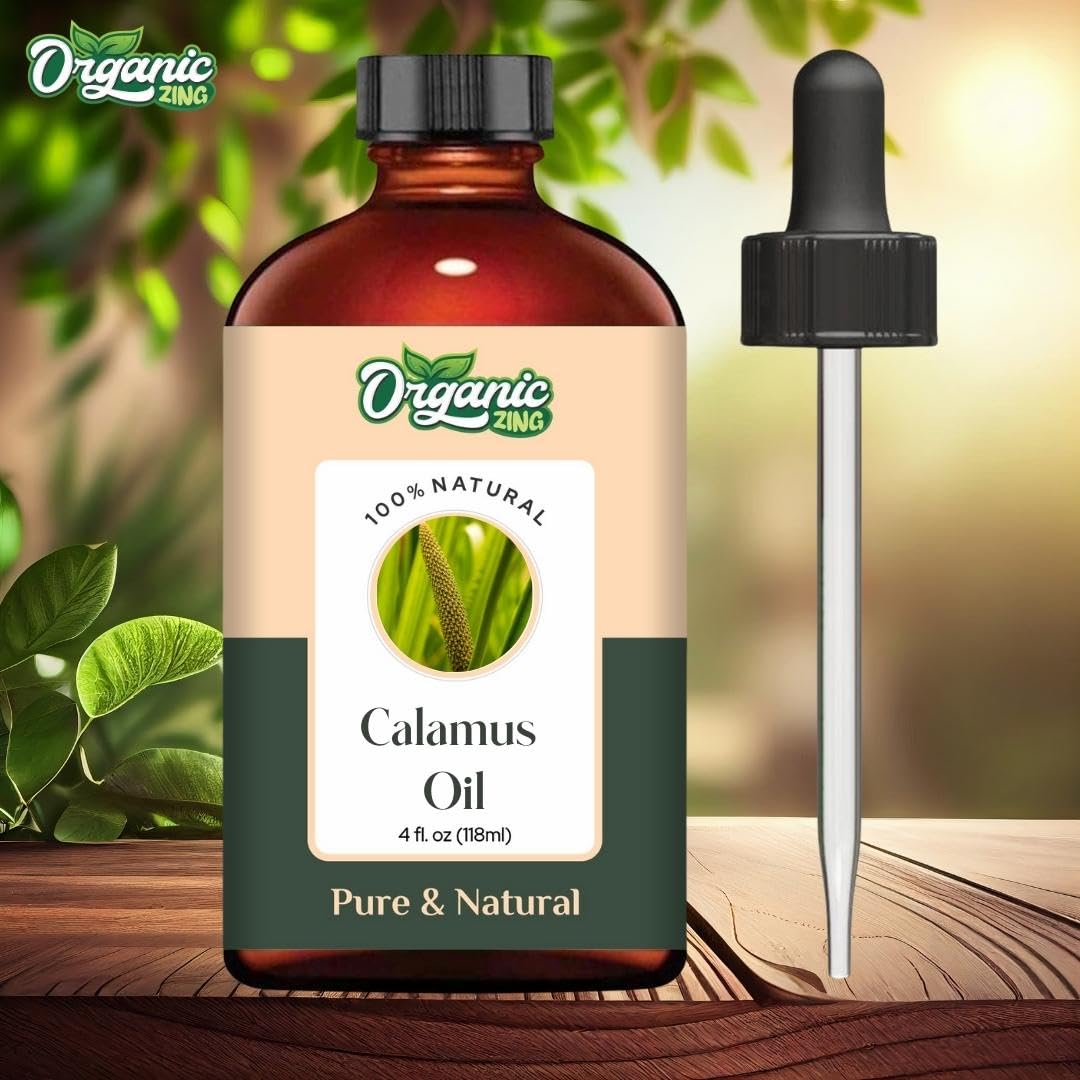 Organic Zing Calamus (Acorus Calamus) Oil | Pure & Natural Essential Oil for Skincare, Hair Care, Aroma & Diffusers