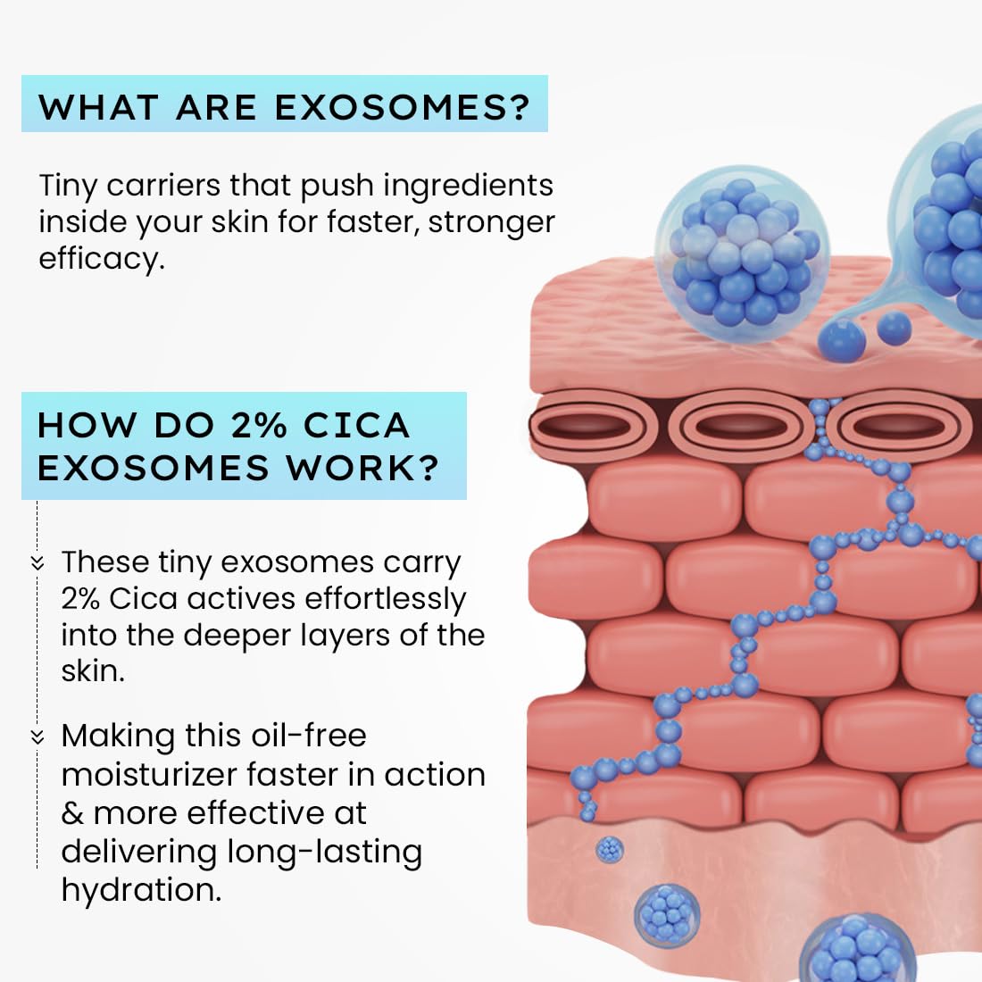 Hyphen Cica Exosomes Oil-Free Moisturizer 50ml - Luxury Hydration for All Skin Types