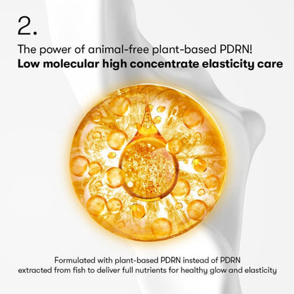 VT Cosmetics PDRN Reedle Shot 700