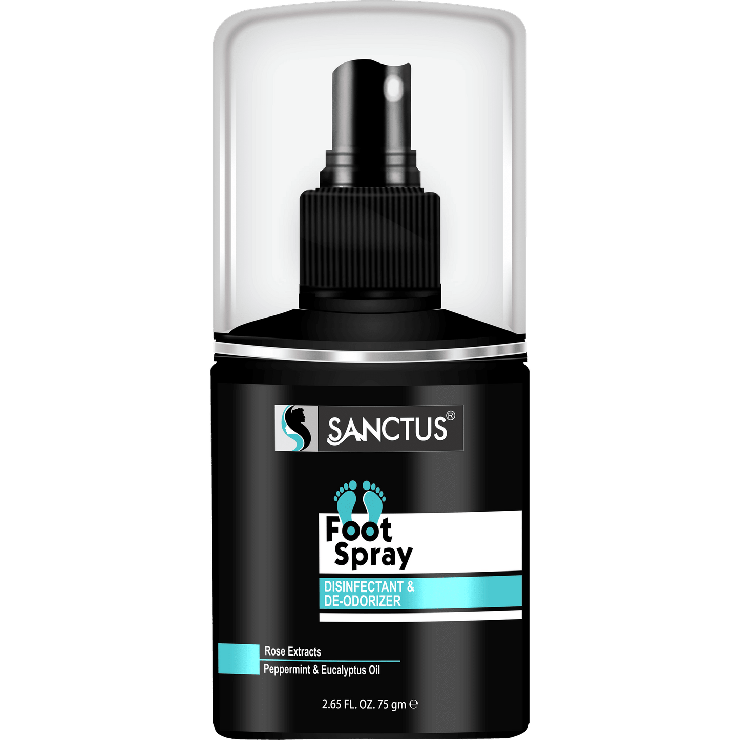 SANCTUS Disinfectant & Deodorizer Foot Spray