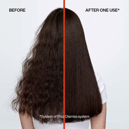 Redken Frizz Dismiss Sulphate Free Shampoo with Smoothening Complex for Frizzy Hair
