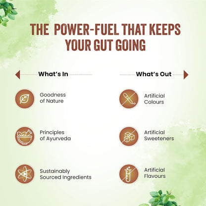 Dabur Ayurvedic Gut Health Juice 1L - Natural Digestive Care