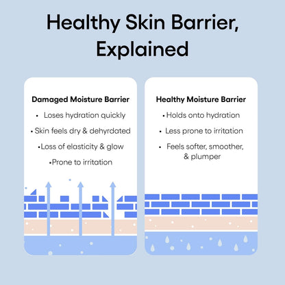 Laneige Water Bank Cream Refill Duo