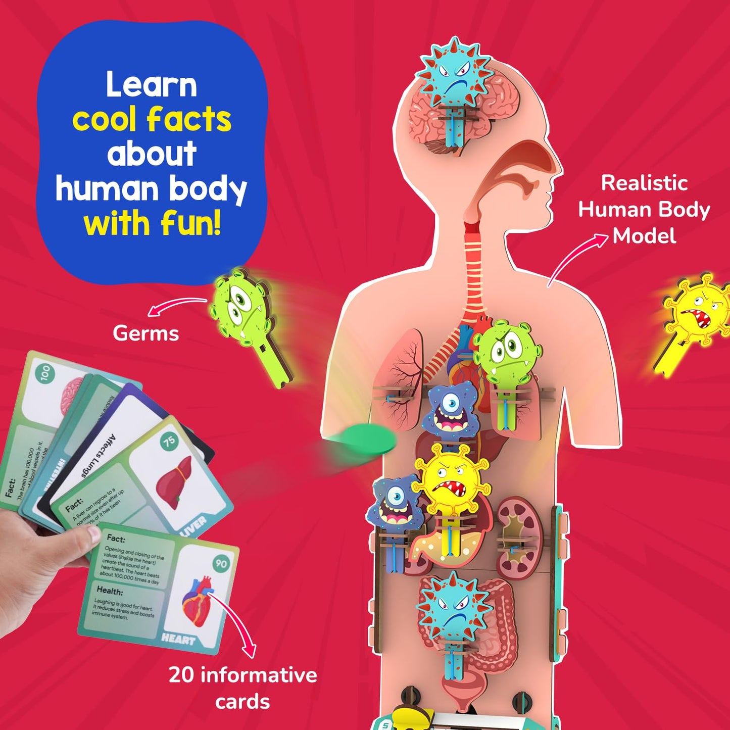 Smartivity Human Body Toy for Kids 6-12 Years|Body Organs & Functions|Birthday Gifts for Unisex|DIY Science Toys 6,7,8,9,10,11,12,13,14 Years Old I STEM Building Set Wooden Construction Game,79 Pcs