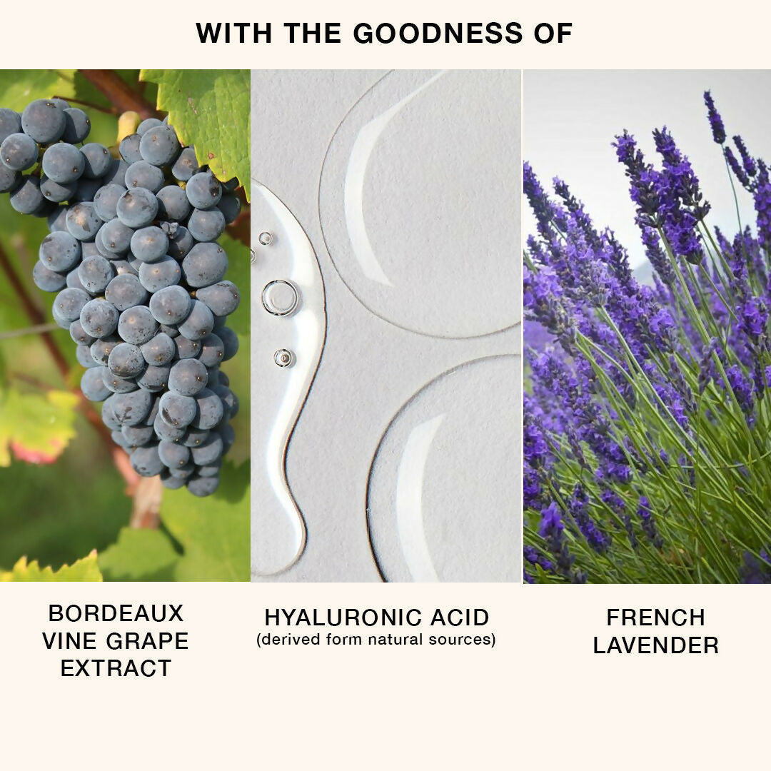 Skog Body Lotion (With Bordeaux Vine Grape Extract)