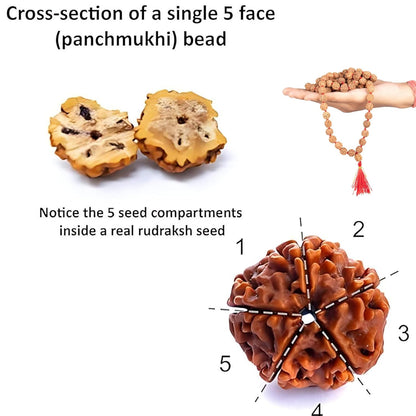 Wonder Care Authentic Mala Genuine Religious Ornament Rosary Japa Mala (4mm-16mm) Natural/Capped Neclaces & Bracelet