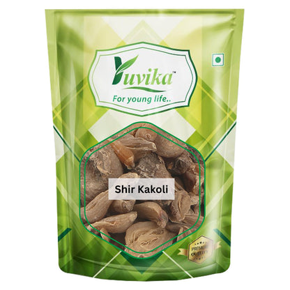 Yuvika Shir Kakoli - Kshirkakoli - Lilium Polyphyllum