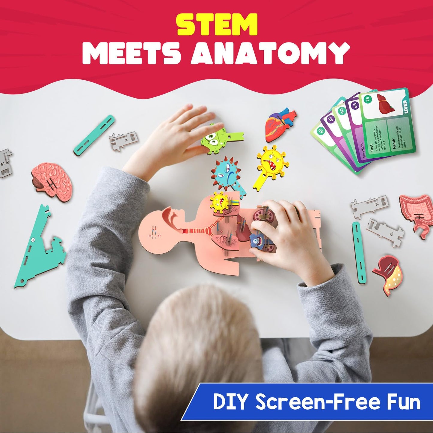 Smartivity Human Body Toy for Kids 6-12 Years|Body Organs & Functions|Birthday Gifts for Unisex|DIY Science Toys 6,7,8,9,10,11,12,13,14 Years Old I STEM Building Set Wooden Construction Game,79 Pcs