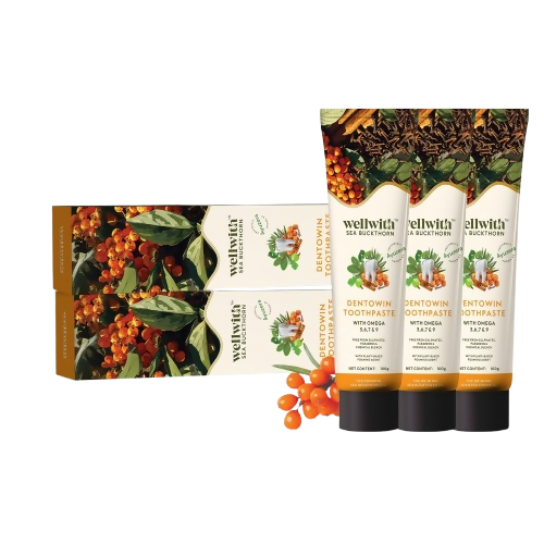 Wellwith DentoWin Herbal Gum Care Toothpaste