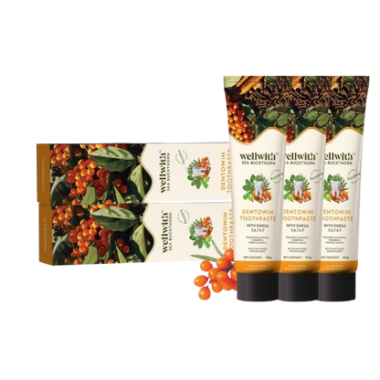 Wellwith DentoWin Herbal Gum Care Toothpaste
