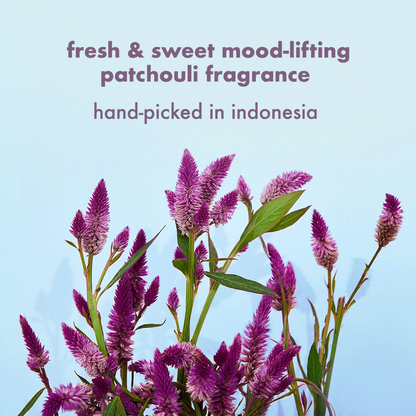 Love Beauty And Planet Onion Blackseed & Patchouli Hair Fall Control Sulfate Free Shampoo & Conditioner