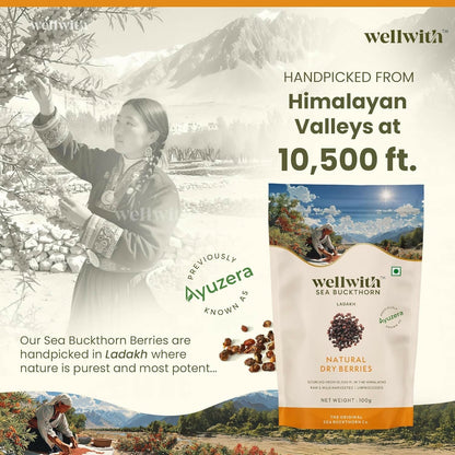 Wellwith Sea Buckthorn Natural Dry Berries