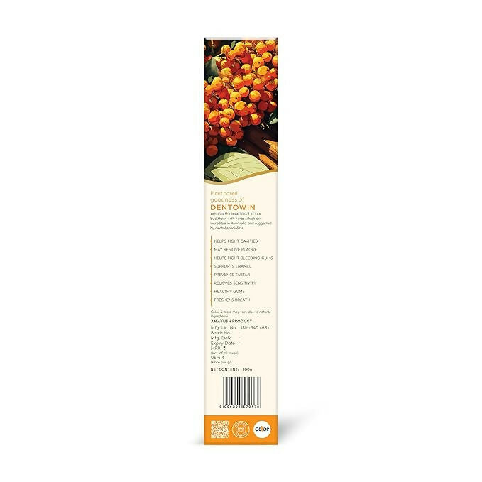 Wellwith DentoWin Herbal Gum Care Toothpaste