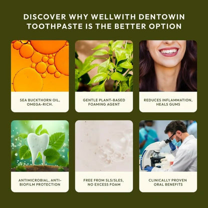 Wellwith DentoWin Herbal Gum Care Toothpaste