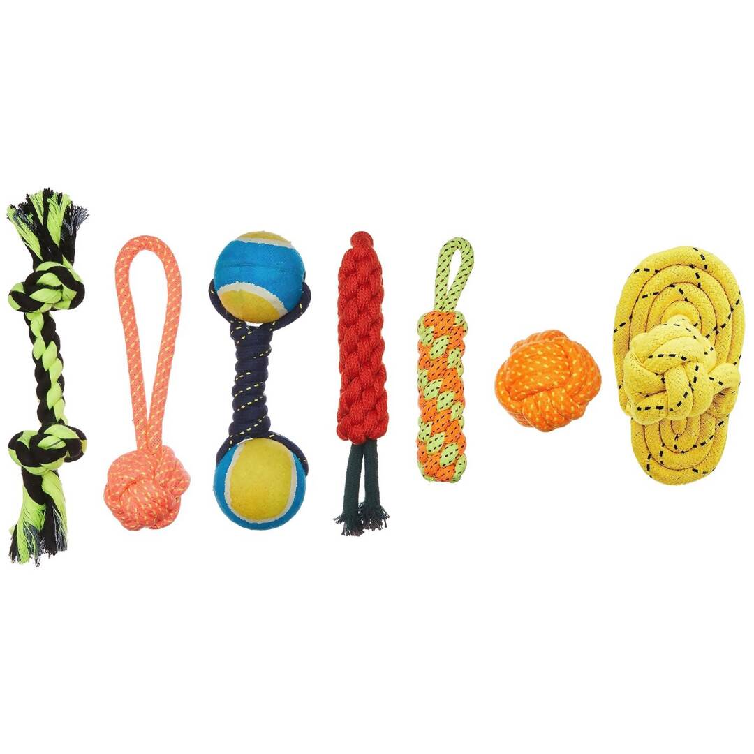 Assorted dog toys including ropes, balls, and chew toys on a white background