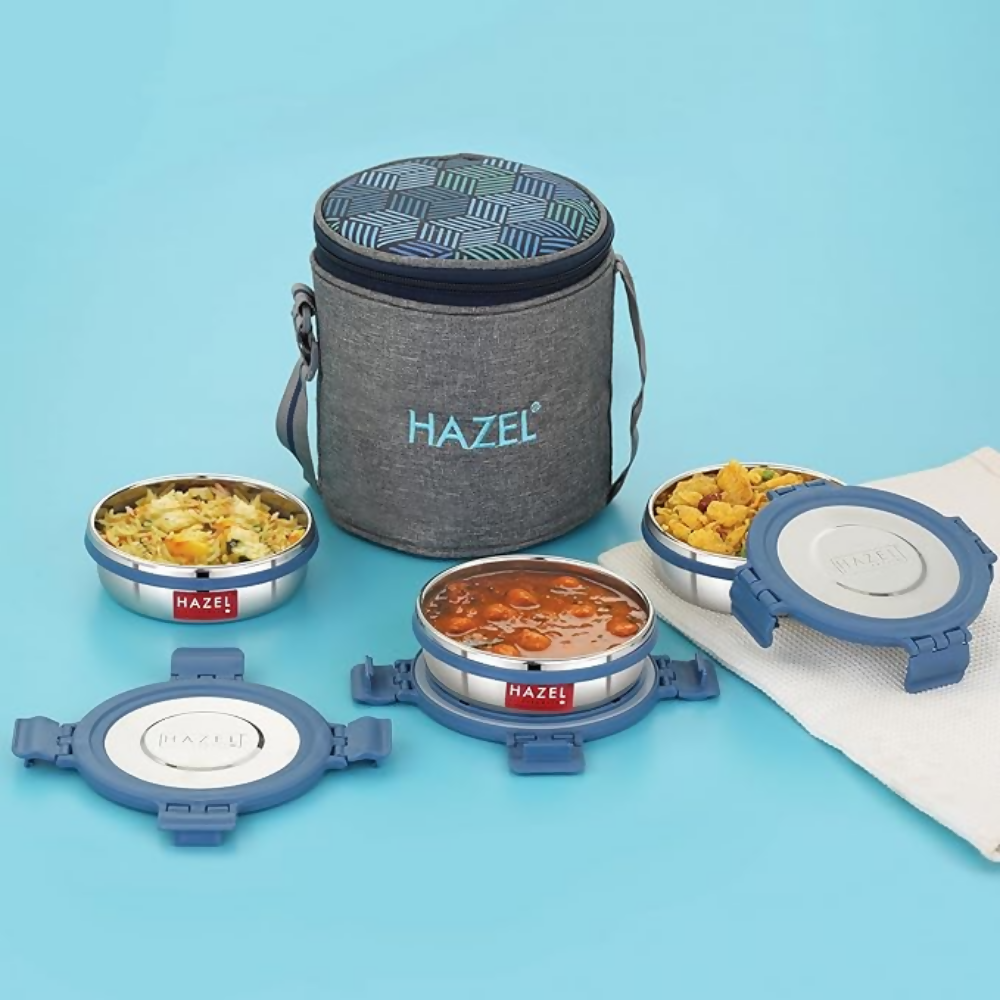 Hazel Stainless Steel Lunch Box Set of 4 with Standing Bag