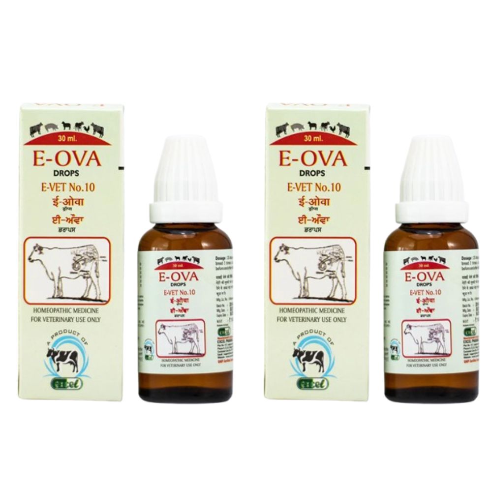 Two bottles and their packaging of E-OVA Drops on a white background