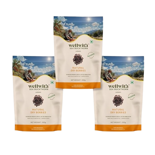Wellwith Sea Buckthorn Natural Dry Berries