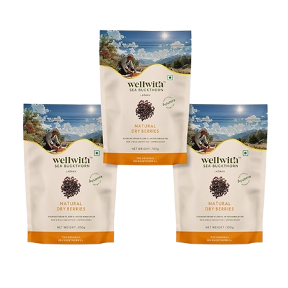 Wellwith Sea Buckthorn Natural Dry Berries