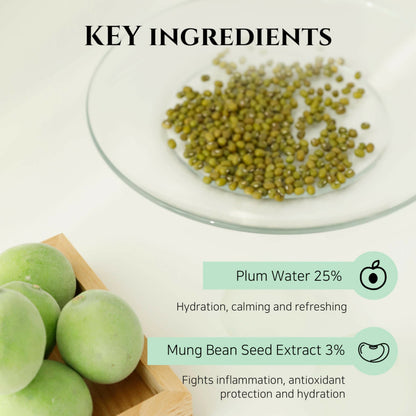 Beauty of Joseon Green Plum Refreshing Cleanser - Korean Skincare