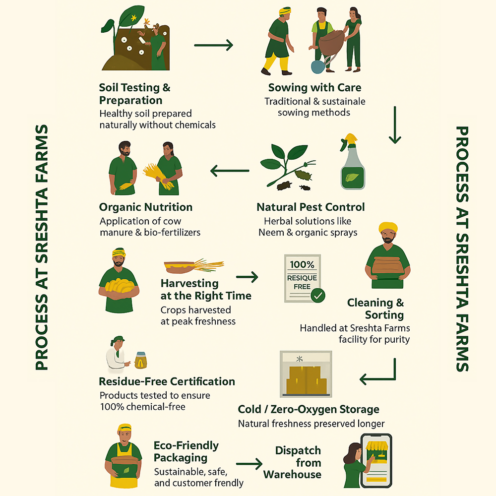 Sreshta Farms Raw Pumpkin Seeds Natural High-Protein Seeds