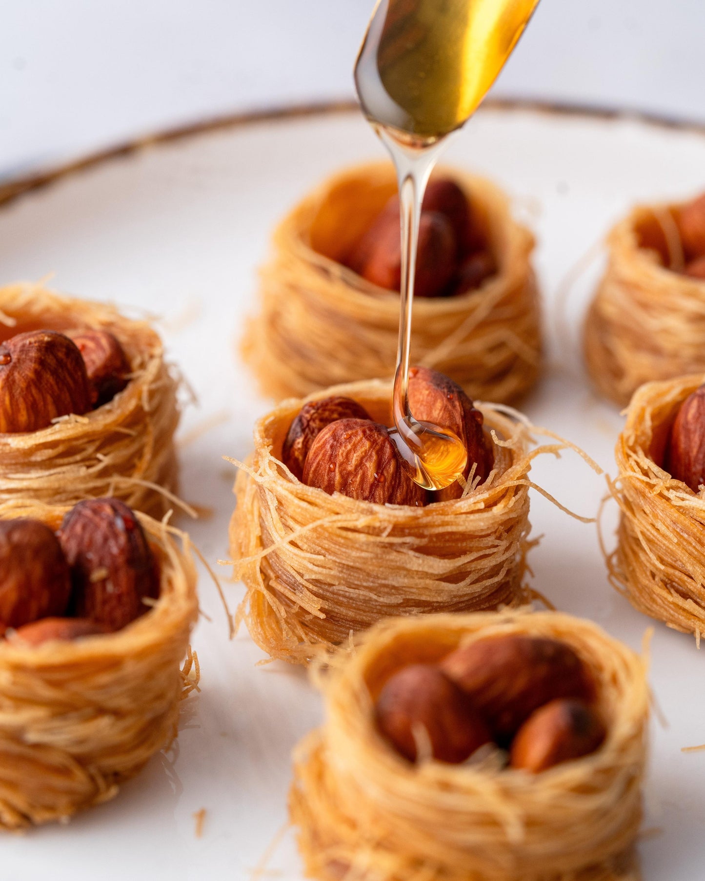 Gourmet Baklava Treasure Connoisseur Gift Box