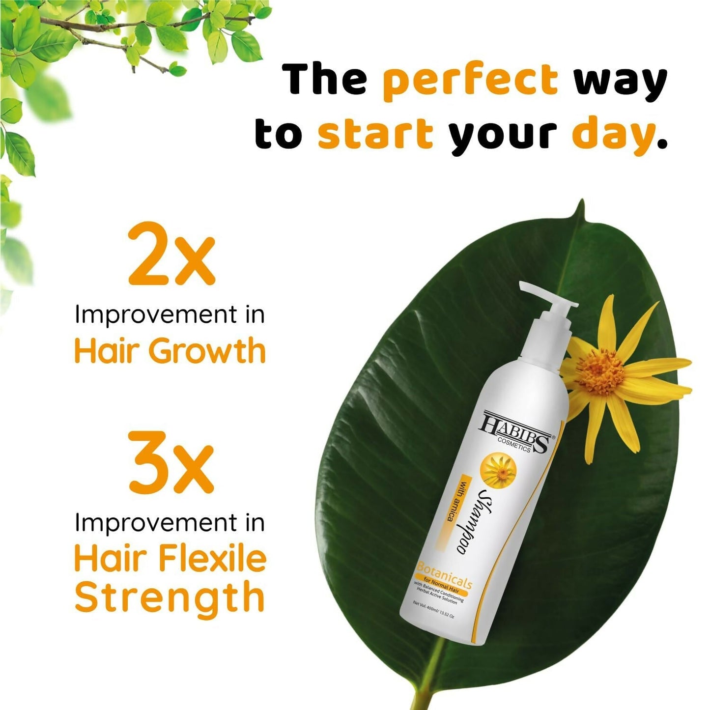 Habibs Professional Hair Shampoo with Arnica To Improve your Scalp Health for Daily Use