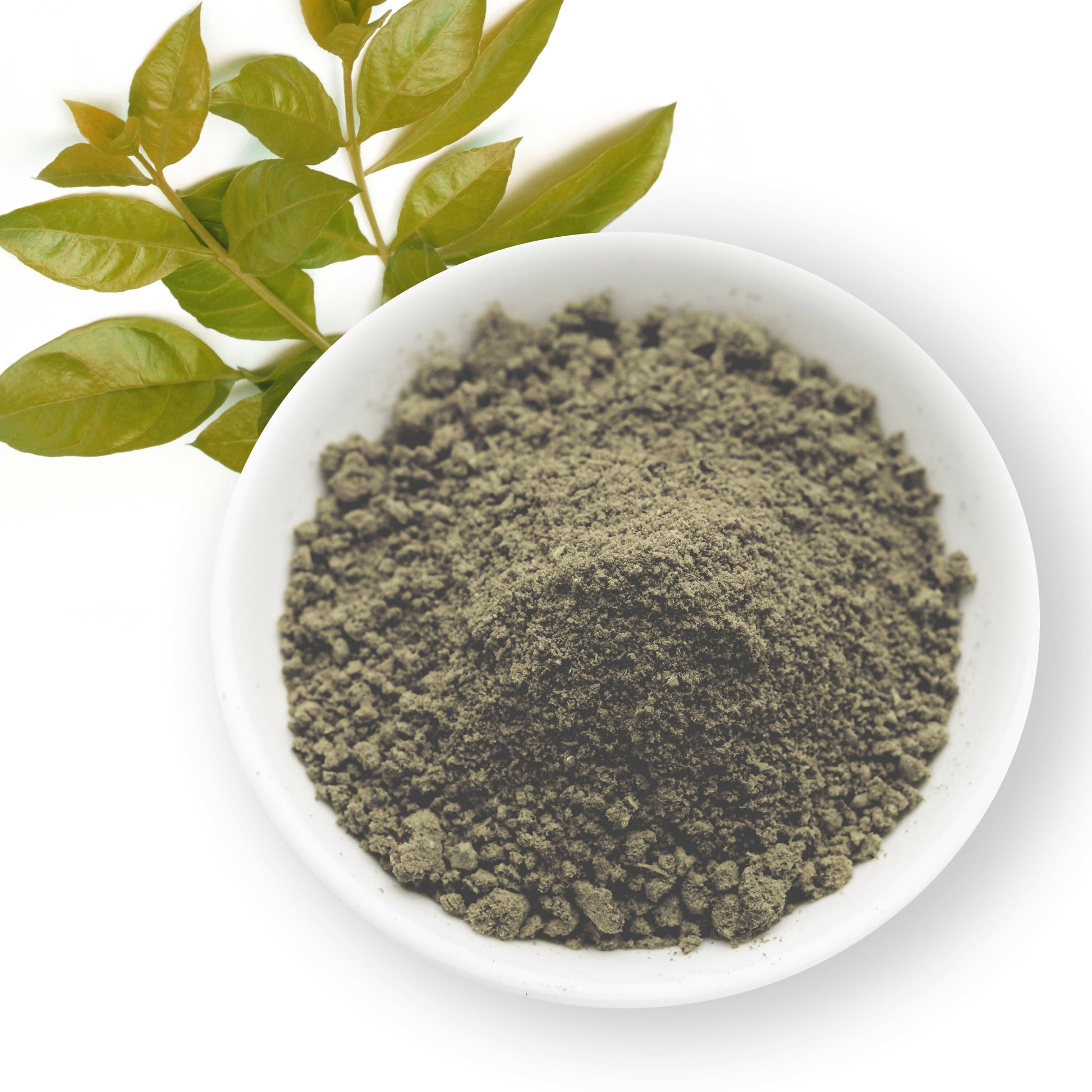 The Ayur House Black Henna Powder