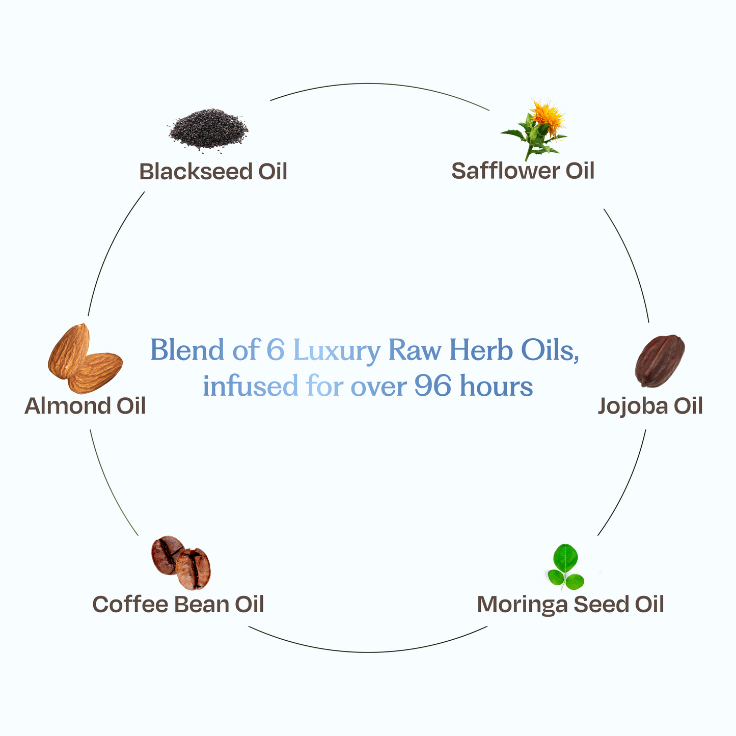 Sacred Grove Coffee Bean & Blackseed Nourishing Hair Oil
