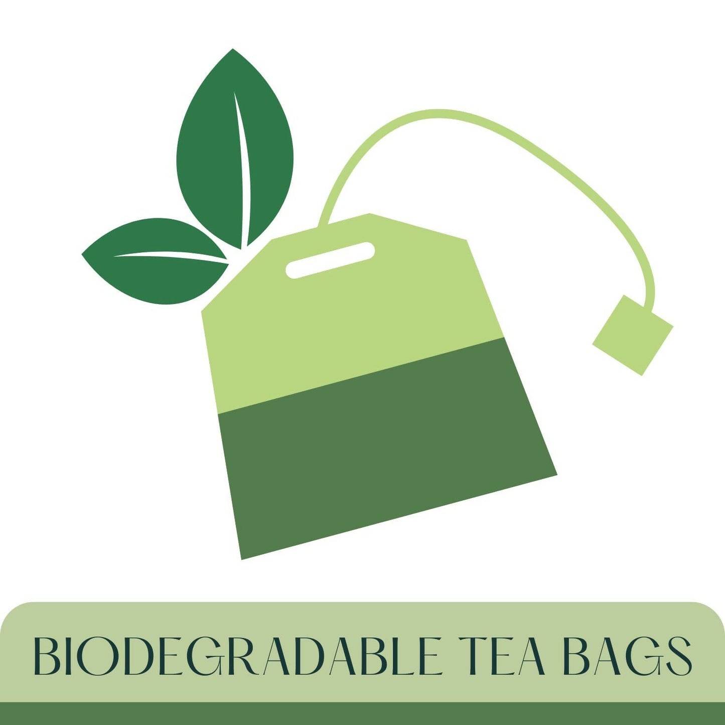 Satvi Wellness Beetroot Amla Tea Bags