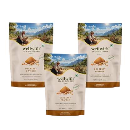 Wellwith Himalayan Sea Buckthorn Dry Berry Powder