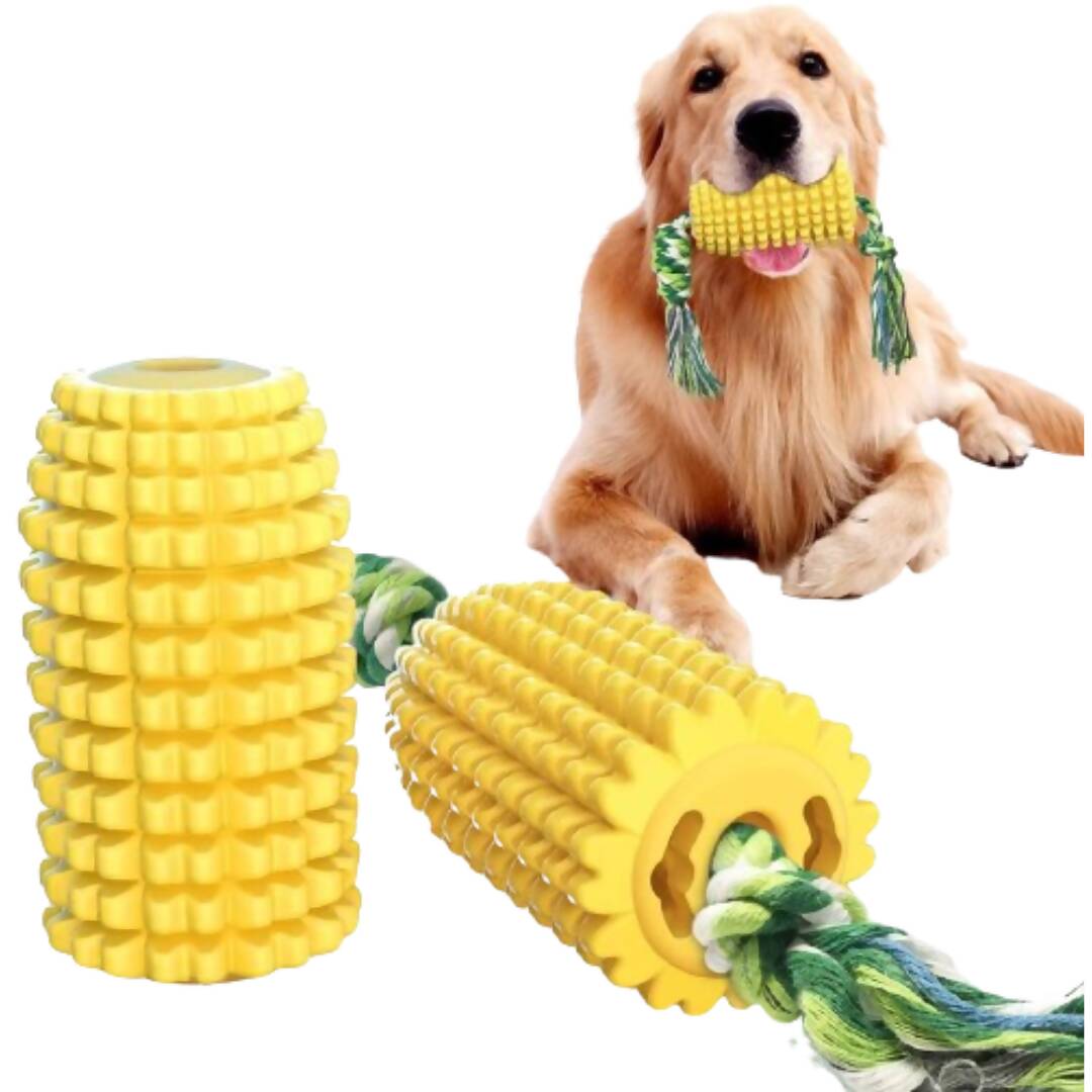 Dog playing with a yellow chew toy with a rope, on a white background