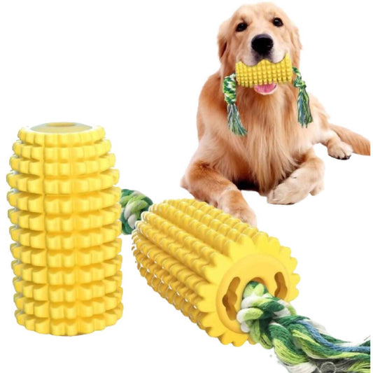 Dog playing with a yellow chew toy with a rope, on a white background