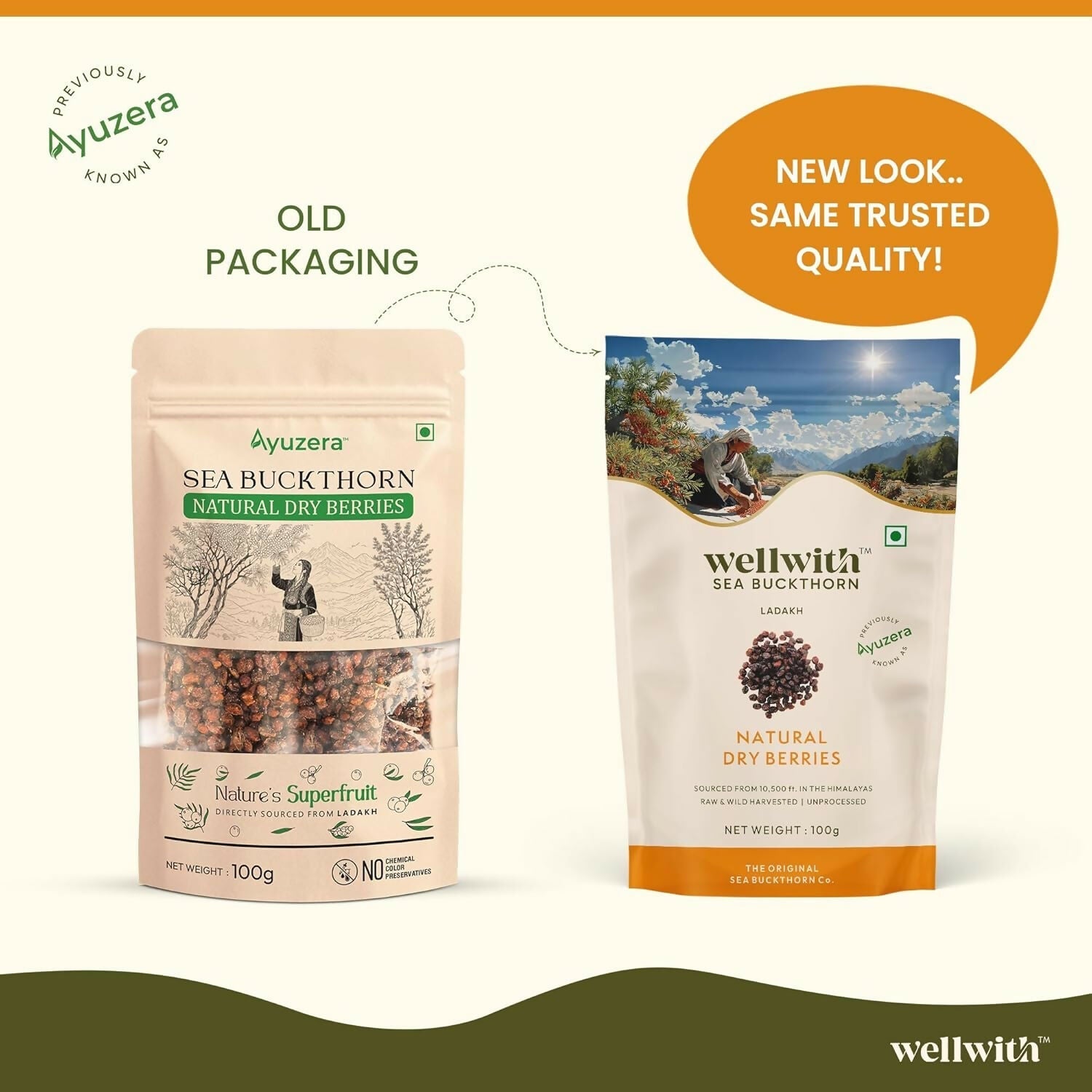 Wellwith Sea Buckthorn Natural Dry Berries
